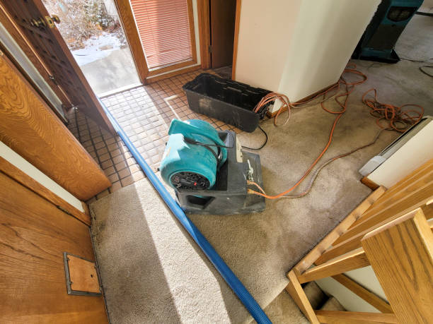 Best Water damage restoration near me  in La Vergne, TN