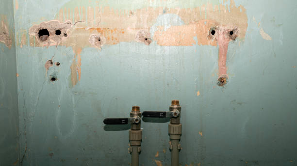 Local water damage restoration in TN