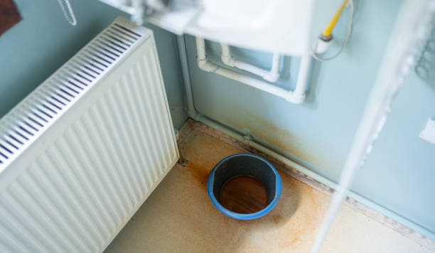Best Water damage mitigation services  in La Vergne, TN