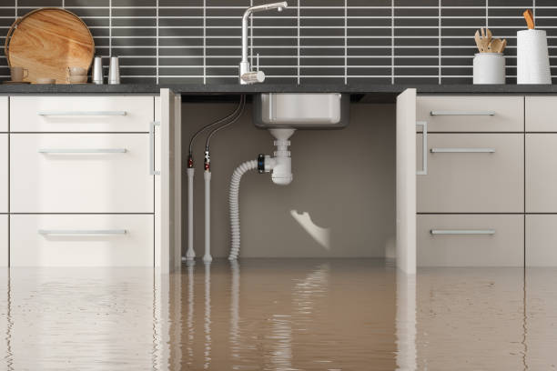 Best Ceiling water damage repair  in La Vergne, TN