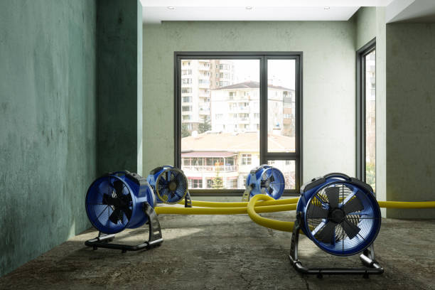 Best Professional water damage repair  in La Vergne, TN