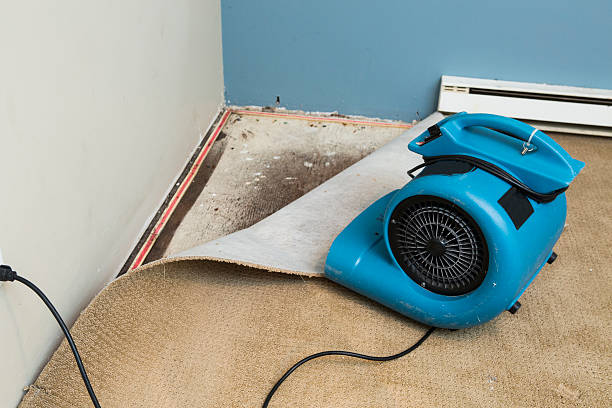 Best Water damage contractors near me  in La Vergne, TN